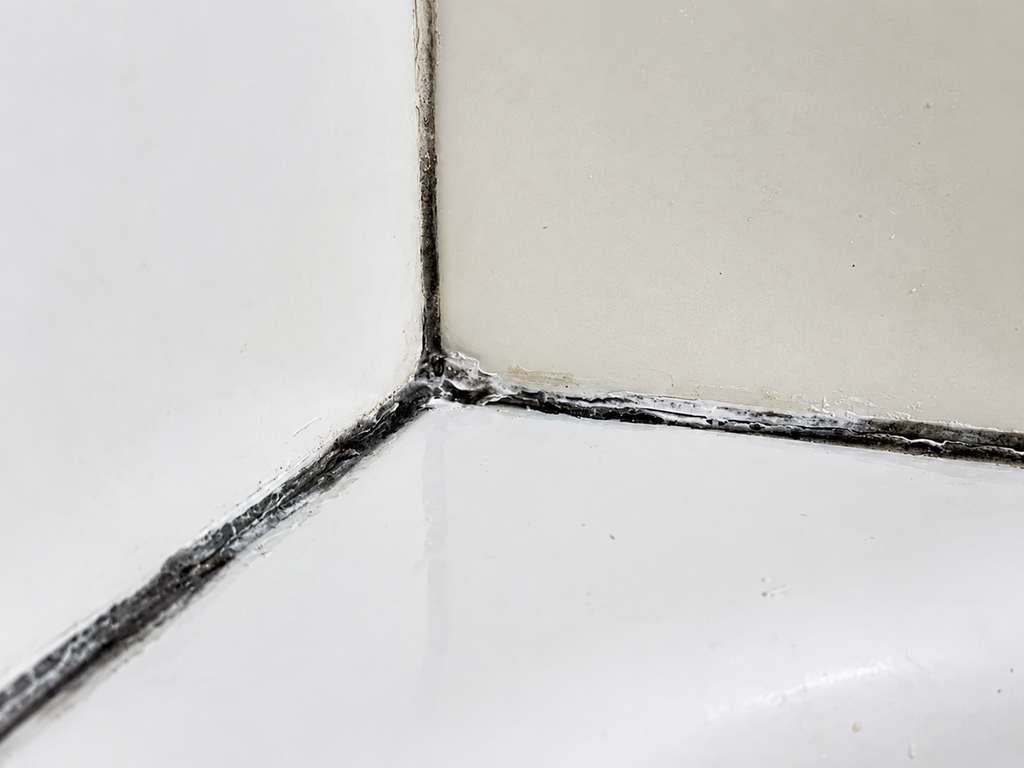 Black mold on bathroom caulk
