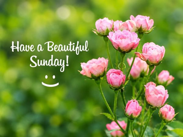 Sunday captions for Instagram with cute, funny, and aesthetic ideas