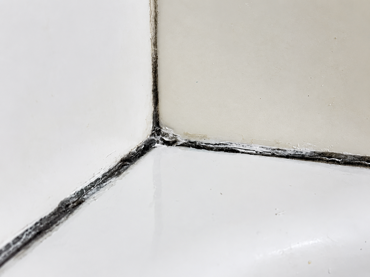 Black mold on bathroom caulk